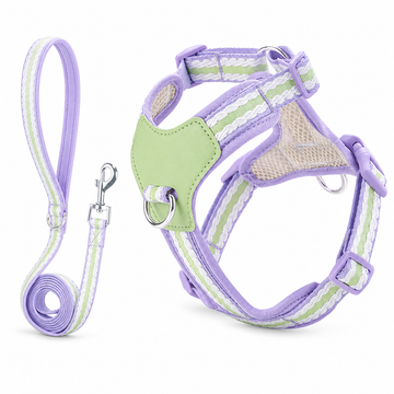 Dog Harness with Leash