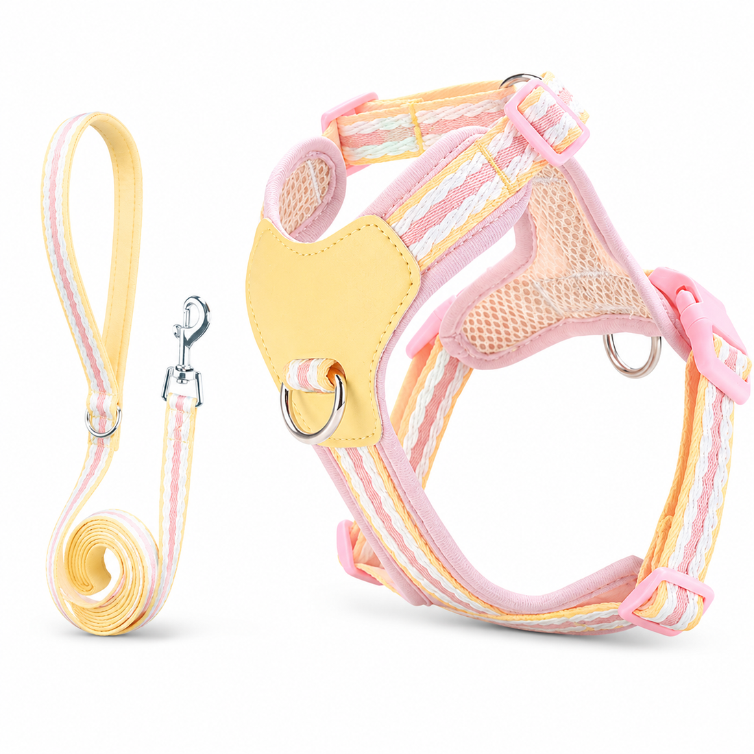 Dog Harness with Leash